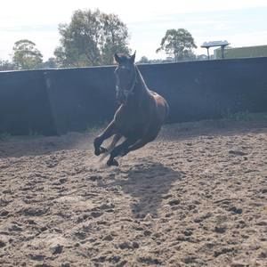 Meet your Posher, Tracy